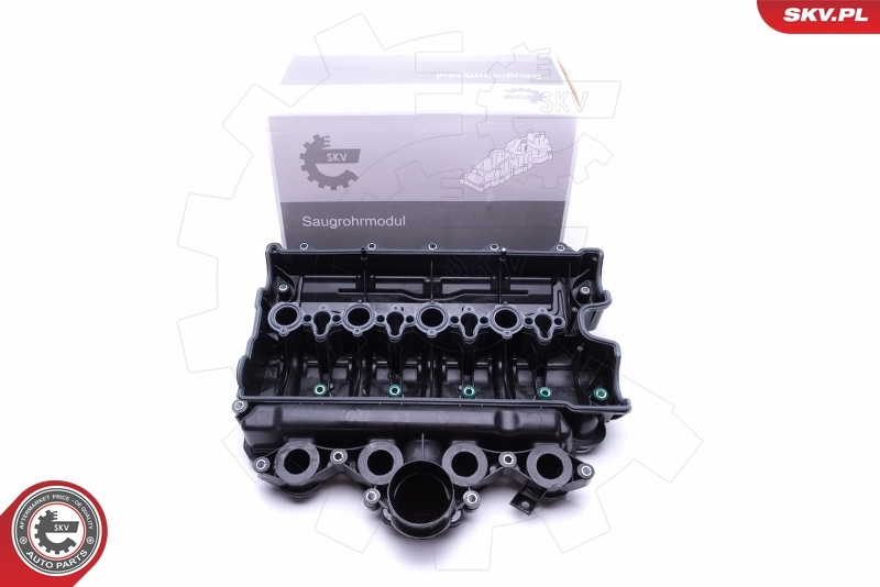 Intake Manifold Module